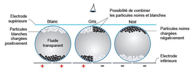 E-Ink fonctionnement