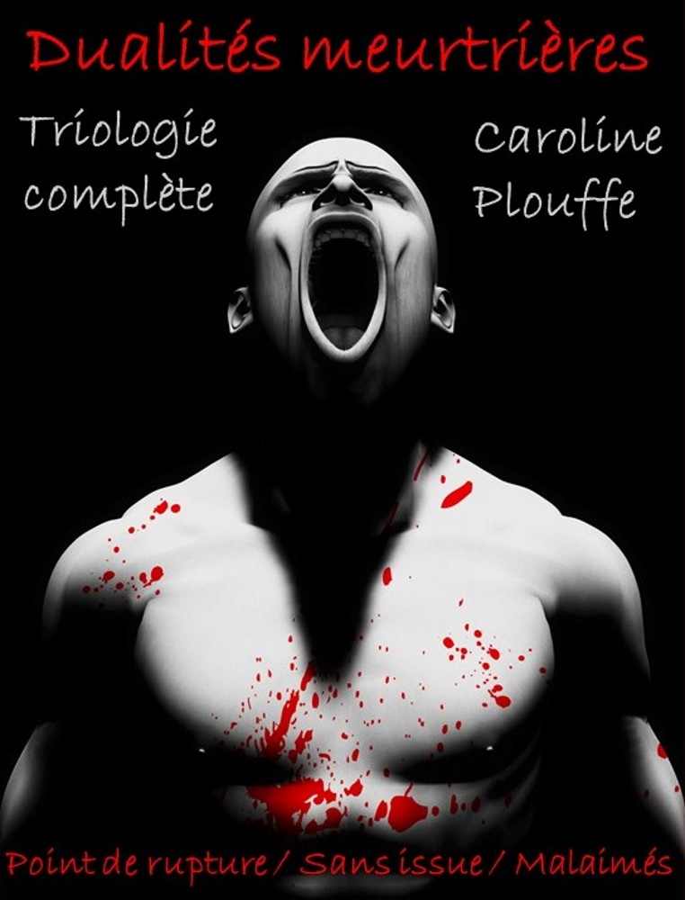 Couverture triologie complète